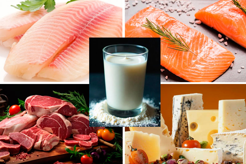 Como Importar Alimentos da Argentina
